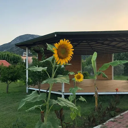 Almira Tatil parkı