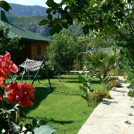 Almira Çıralı