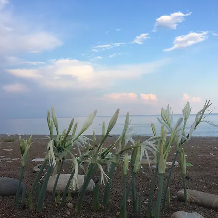 Almira Tatil parkı 3*