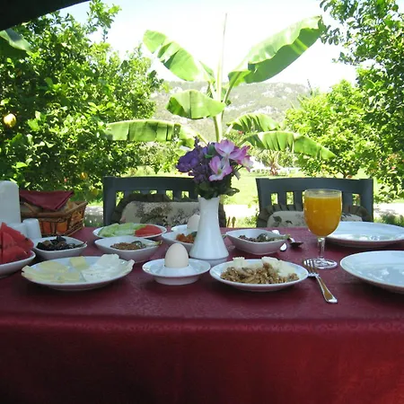 Tatil parkı Almira Çıralı