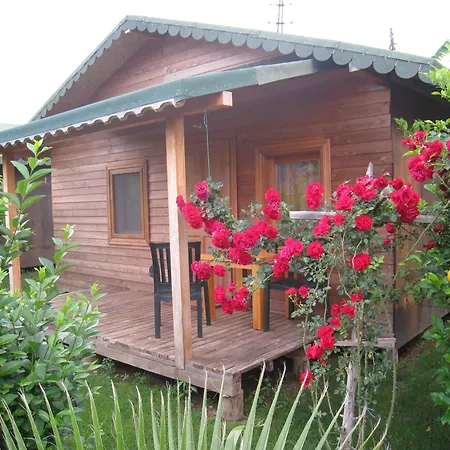 Tatil parkı Almira Çıralı