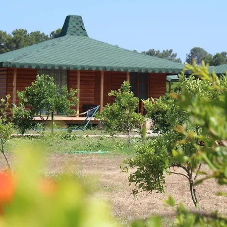 Almira Tatil parkı 3*