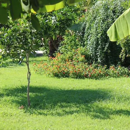 Tatil parkı Almira