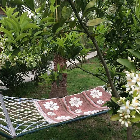Armira Parco vacanze Çıralı