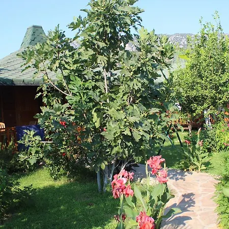 Parco vacanze Armira Çıralı