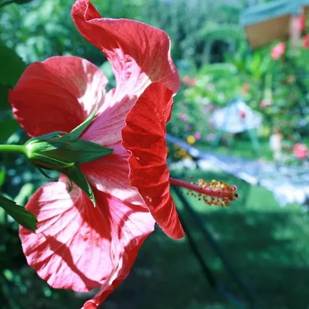 Parco vacanze Armira Çıralı