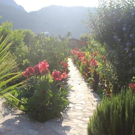 Parco vacanze Armira Çıralı
