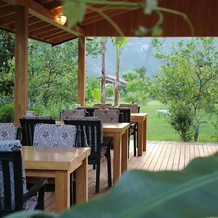 시랄리 알미라 3* Çıralı